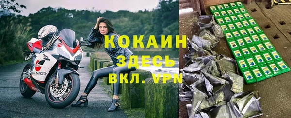 ALPHA PVP Няндома