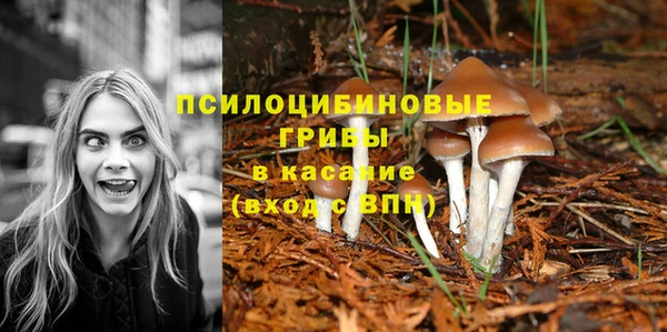 шишки Осташков