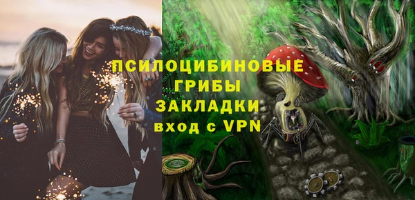 шишки Осташков