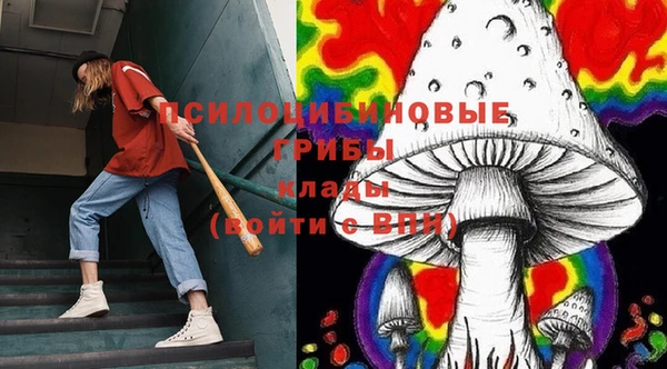 твердый Нягань