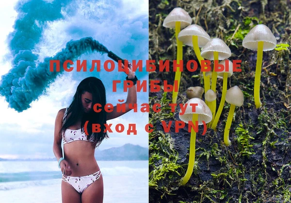 шишки Осташков