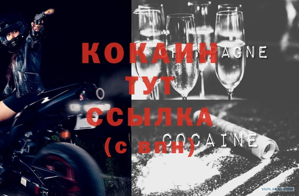 шишки Осташков