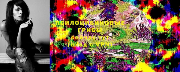 индика Горняк