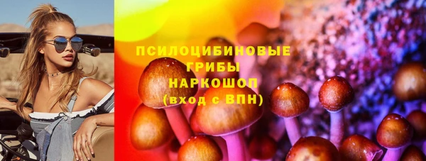 шишки Осташков