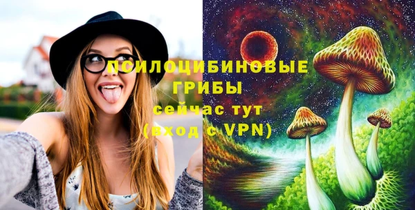 шишки Осташков