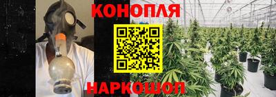 сатива Изобильный