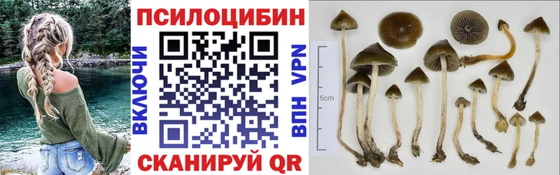 Галлюциногенные грибы ЛСД  Сертолово 