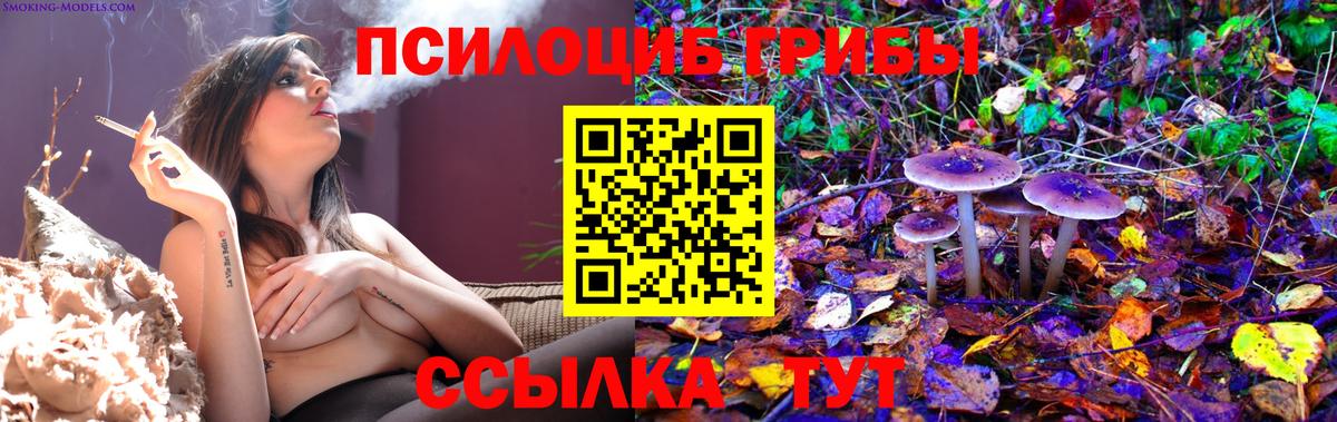 Псилоцибиновые грибы Cubensis  Псилоцибиновые грибы прущие грибы  Вход с VPN  Сертолово 